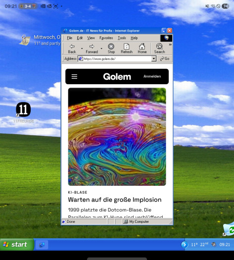Ein Internet Explorer kann als Browser verwendet werden. (Screenshot: Tobias Költzsch/Golem)